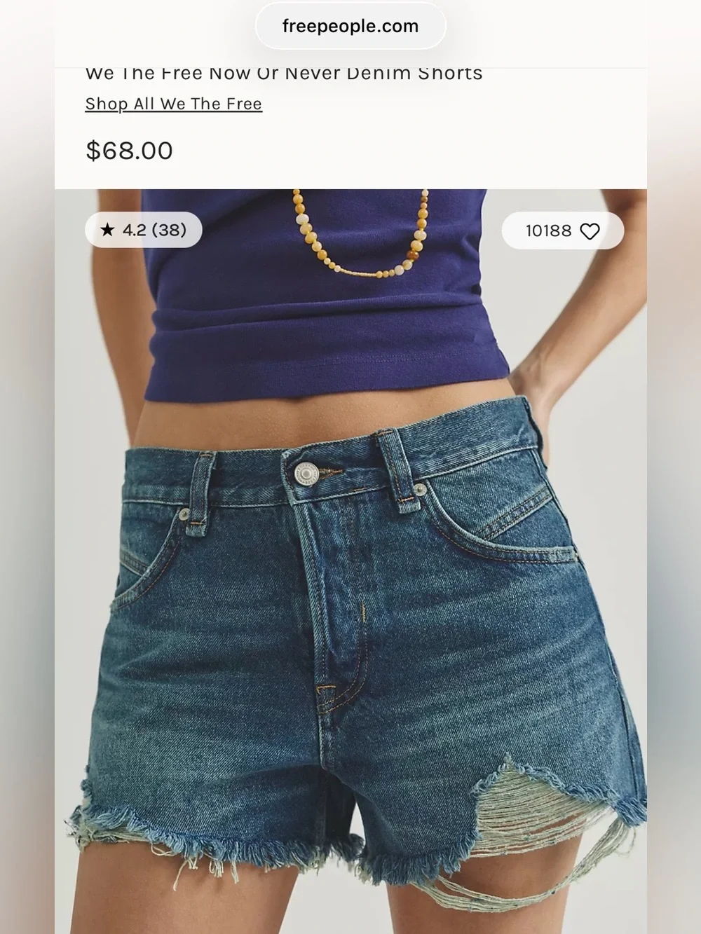 We The Free Distressed Denim Cutoff Shorts